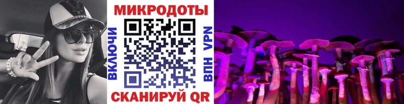 Псилоцибиновые грибы мухоморы  дарк нет какой сайт  Острогожск 