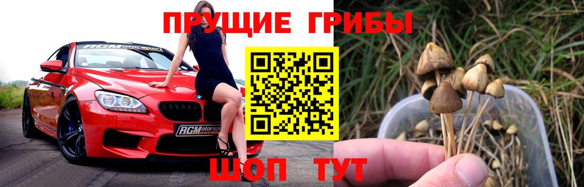 Галлюциногенные грибы мицелий  Вход с VPN  Острогожск 